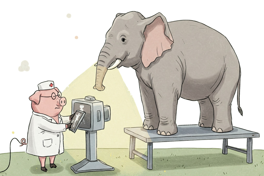 专业服务:顶级专家兜底无忧